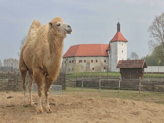 Appartamento Welt  77