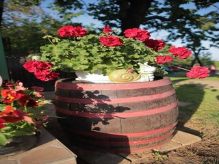 Apartment Welt Außenaufnahme 5