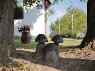 Apartment Welt Outdoor Recording 6