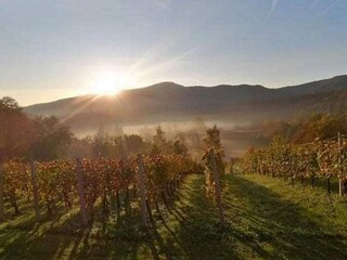 Casa de vacaciones Catez ob Savi  47