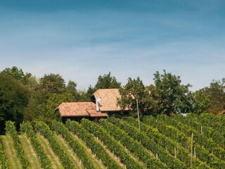 Fattoria Pišece Registrazione all'aperto 9