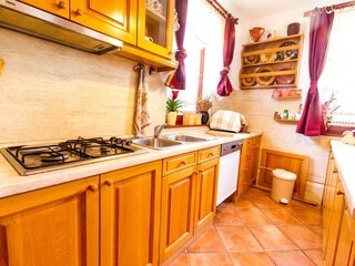 Type de propriété : Ferme Pišece Équipement 14