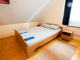 Type de propriété : Ferme Pišece Équipement 15