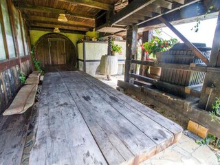 Fattoria Pišece Registrazione all'aperto 2