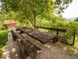 Farmhouse Pišece Outdoor Recording 3