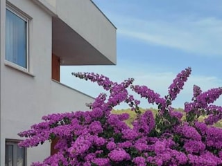 Appartement Okrug Donji Buitenaudio-opname 2