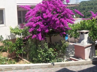 Apartment Okrug Donji Outdoor Recording 2