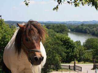 Appartement Catez ob Savi Enregistrement extérieur 3