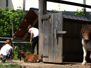 Appartement Catez ob Savi Enregistrement extérieur 6