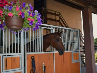 Appartement Catez ob Savi Enregistrement extérieur 7