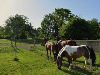 Apartamento Catez ob Savi Grabación al aire libre 12