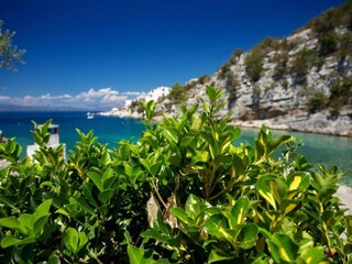 Casa per le vacanze Zastražišće  42