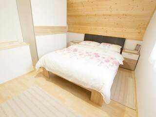 Type de propriété : Ferme Pišece Équipement 19