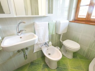 Type de propriété : Ferme Pišece Équipement 24