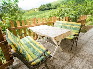 Casa de campo Pišece Grabación al aire libre 2