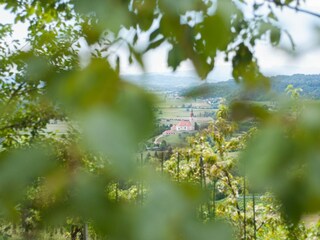 Type de propriété : Ferme Pišece Enregistrement extérieur 7