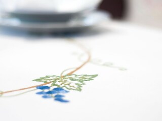 Type de propriété : Ferme Pišece  27