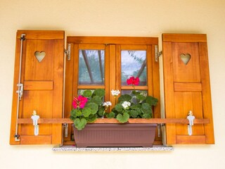 Casa de campo Pišece  30