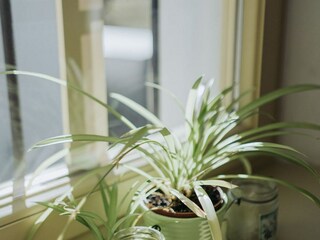 Apartment Skofja Loka  11