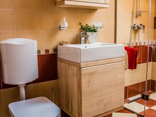 Appartement Ljubno ob Savinji Kenmerken 17