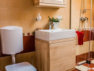 Appartement Ljubno ob Savinji Kenmerken 18