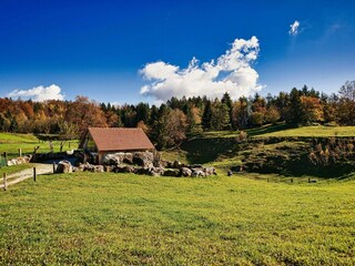 Casa vacanze Zagradec Registrazione all'aperto 4