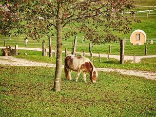 Casa vacanze Zagradec Registrazione all'aperto 8