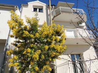 Apartamento Brodarica Grabación al aire libre 15