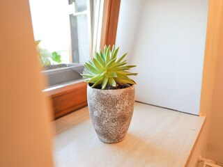 Appartement Pišece  25