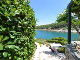 Appartement Basina  31