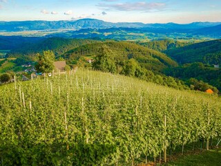 Villa Welt Registrazione all'aperto 7