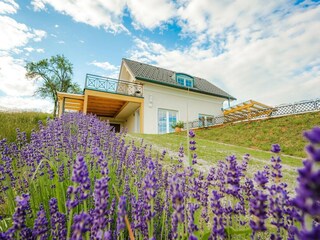 Villa Welt Buitenaudio-opname 10