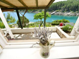 Appartement Basina  32