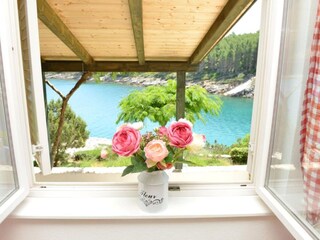 Appartement Basina  28