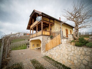 Boerderij Laško Buitenaudio-opname 6