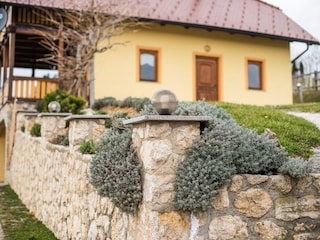 Boerderij Laško Buitenaudio-opname 12