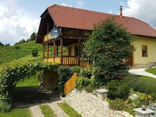 Boerderij Laško Buitenaudio-opname 14