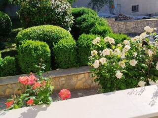 Apartamento Okrug Gornji  17