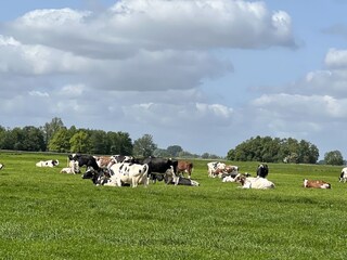 Bungalow Lemmer Environnement 37