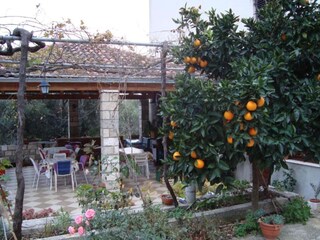 Appartement Šipanska Luka  12