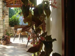 Appartement Šipanska Luka  13