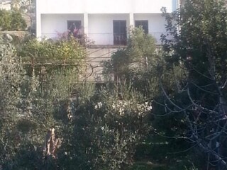 Apartment Šipanska Luka Außenaufnahme 3