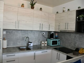 Rulot Drage, Adria Características 9