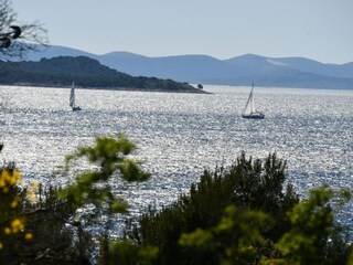 Rulot Drage, Adria  20