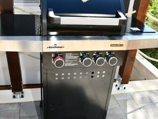 Rulot Drage, Adria Características 9