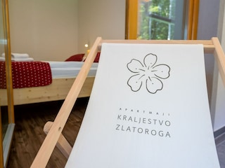 Apartment Bohinjska Bistrica Features 20