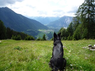 Casa per le vacanze Sautens Ambiente 20