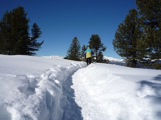 traumhafte Winterlandschaft