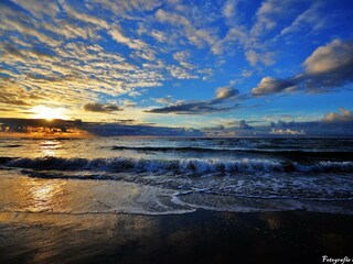 Vakantieappartement Bergen (Holland) Omgeving 23