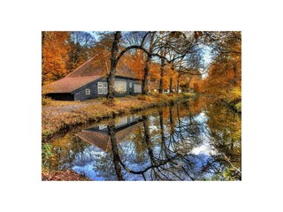 Appartamento per vacanze Bergen (Holland) Ambiente 24